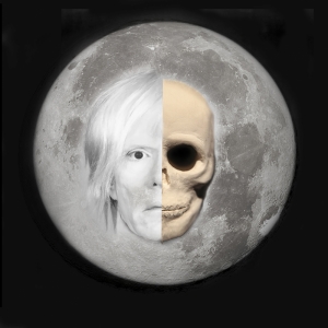 Ay ve Andy Warhol Ünlü Yüzler Kanvas Tablo