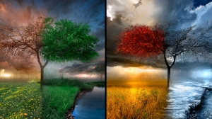 Bir Ağaç Dört Mevsim Doğa Manzaraları Kanvas Tablo