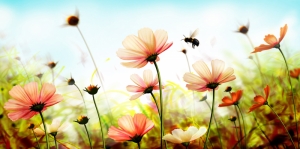 Çiçekler-3, Kırmızı Çiçekler, HD Doğa Manzaraları Floral Canvas Tablo