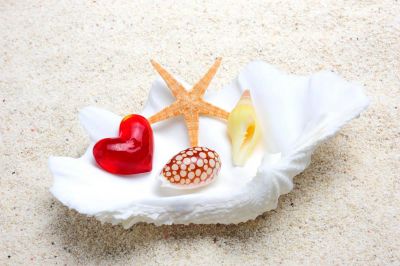 Deniz Kabuğu Aşk  Love Kalp Marina Kum Güneş Deniz
