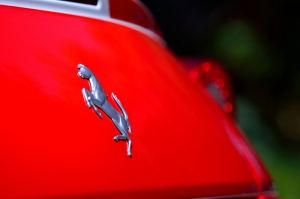 Ferrari Logo Araçlar Kanvas Tablo