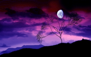 Gece Karanlığında Ay Manzarası Alacakaranlık Kanvas Tablo