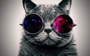 Gözlüklü Sevimli Kedi Mavi Kırmızı Kanvas Tablo