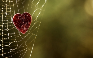 Kalp, Doğa Örümcek Ağı Aşk & Sevgi Kanvas Tablo