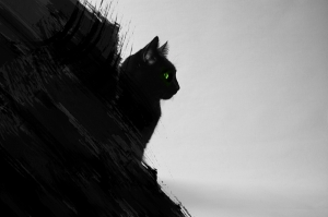 Kara Kedi Hayvanlar Kanvas Tablo
