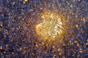 Kış Güneşi Doğa Manzaraları Kanvas Tablo