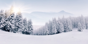 Kış Manzarası Karla Kaplı Dağlar Dağ Evi 2 Doğa Manzaraları Kanvas Tablo