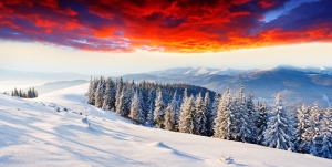 Kızıl Doğa Kar Manzarası Kanvas Tablo