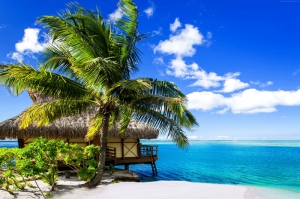Maldivler Kumsal Doğa Manzaraları Kanvas Tablo
