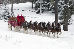Noel Baba ve At Arabası Hayvanlar Kanvas Tablo