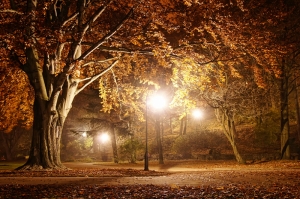 Park Gece Yarısı Manzaralı Kanvas Tablo