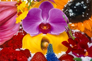 Rengarenk Orkide 3 Yağlı Boya Dekoratif Kanvas Tablo