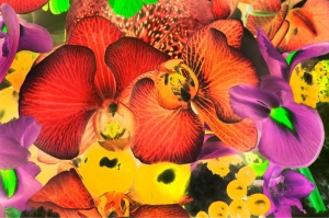 Rengarenk Orkide 6 Yağlı Boya Dekoratif Kanvas Tablo