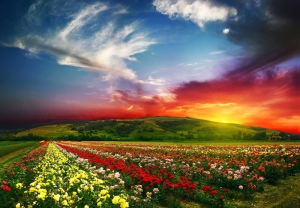 Renkli Doğa Manzaraları Kanvas Tablo