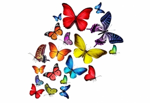 Renkli Kelebekler Doğa Manzaraları Kanvas Tablo