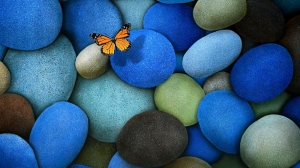 Renkli Taşlar ve Kelebek Fotoğraf Kanvas Tablo