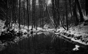 Siyah Beyaz Kar Manzarası Doğa Manzaraları Kanvas Tablo