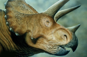 Triceratops Dinazor Hayvanlar Kanvas Tablo