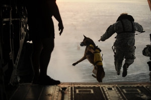 Uçaktan Atlayan Asker ve Köpek Askeri Kanvas Tablo