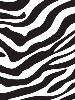 Zebra Deseni Abstract Dijital ve Fantastik Kanvas Tablo